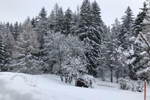 Chalet Familial Les Girolles Aux Portes D'anz�re