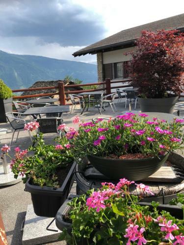 Bed & Breakfast Caf� Cher-mignon Et Chambres D'h�tes