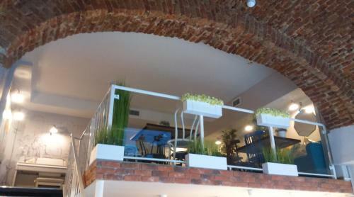 Stony Island Hotel At Lomonosova