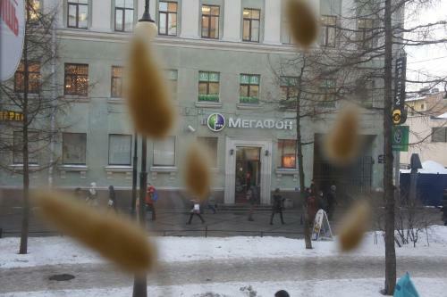 Online Hostel