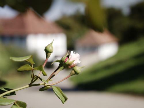 Hotel Schloss Freudenfels