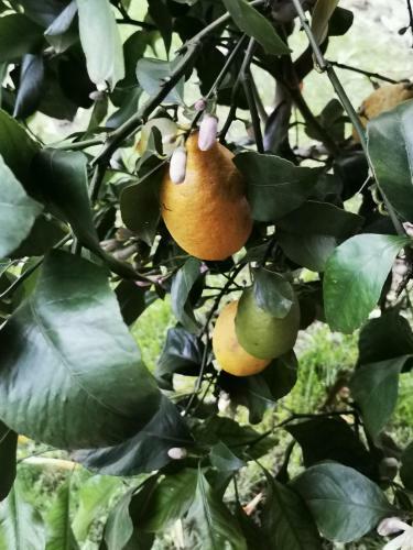 Apartamento Belle de Jour