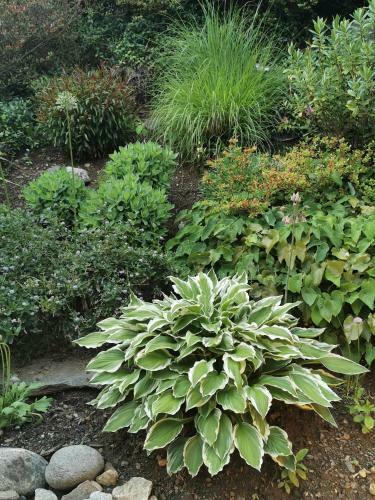 Apartamento Belle de Jour