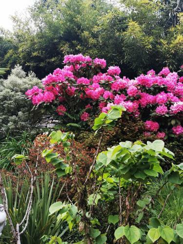 Apartamento Belle de Jour