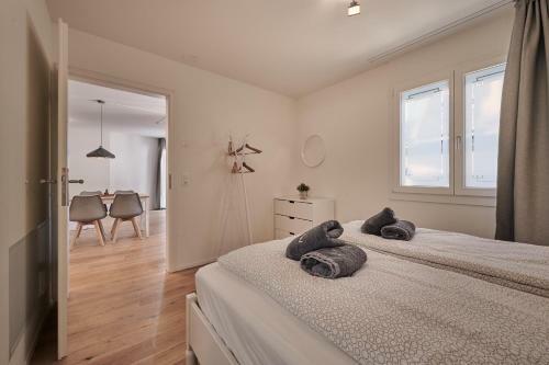 City Center Apartment With Mountain View