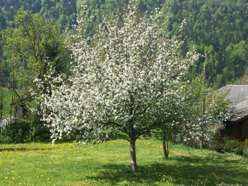 Apartamento Appartement Momentine