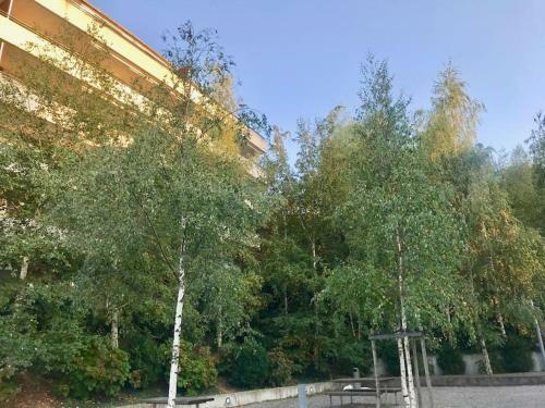 Spacious And Bright 2 Bedroom Apartment With Terrace