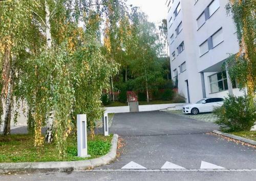 Spacious And Bright 2 Bedroom Apartment With Terrace