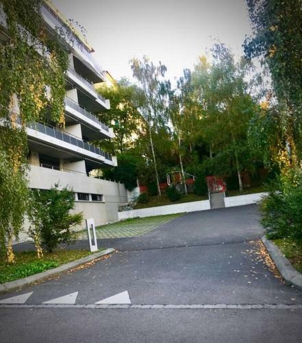 Spacious And Bright 2 Bedroom Apartment With Terrace