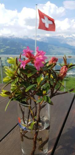 Posada B�ndner Rigi