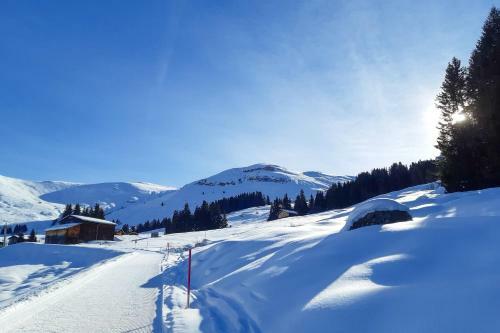 Hotel Alpenlodge Val Gronda