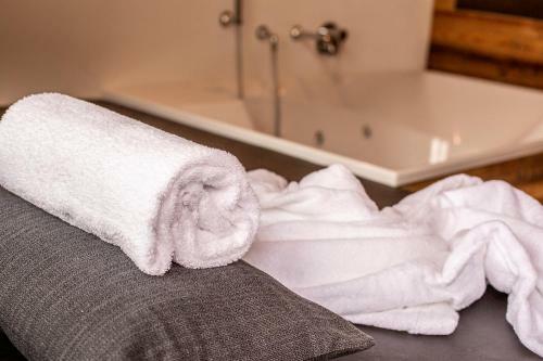 Palace Luxury Wellness Apartment Saas-fee