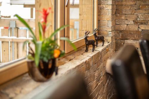 Palace Luxury Wellness Apartment Saas-fee