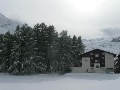 Apartment Am Vogelwald