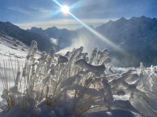 Chalet Christitia