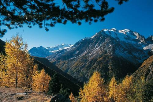 Chalet Christitia