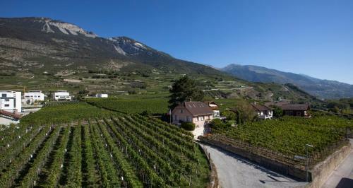 Hotel H�tel Art Le Vin