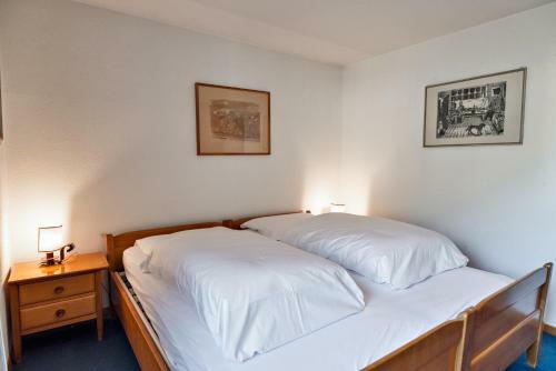 Apartamento Chesa Allegria - Sils Maria