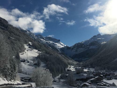 Hotel Alpina