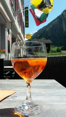 Hotel Alpina
