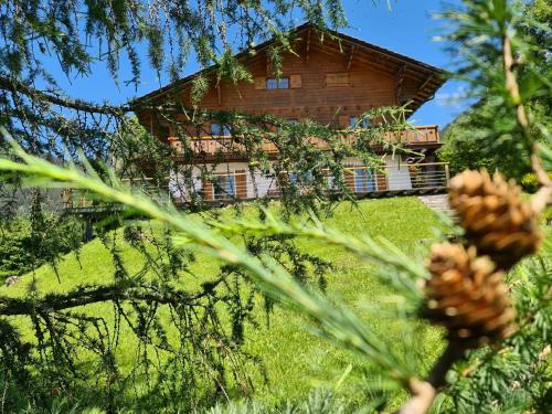 Villa Gorgeous And Spacious Chalet Near The Center