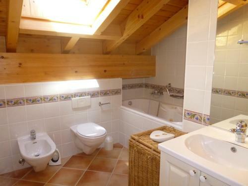Bouillets Mountain & Garden Chalet 12 Pers