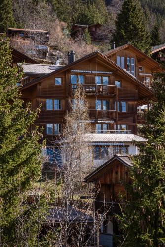 Apartamento Chalet Alpenrebe