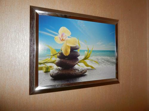 Albergue Advance Trio