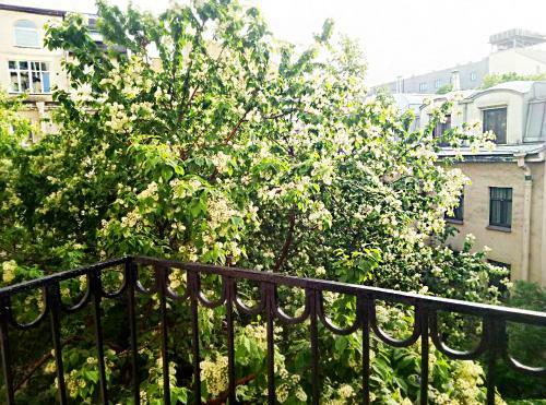 Apartments Uyut
