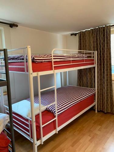Friendly Hostel Z�rich