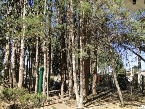 Apartamento Costa Algarrobo