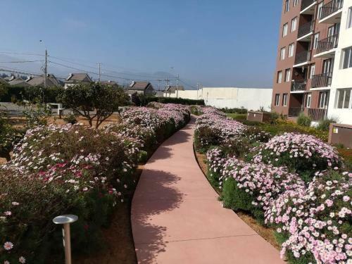 Apartamento Condominio Alto Hacienda - Coquimbo