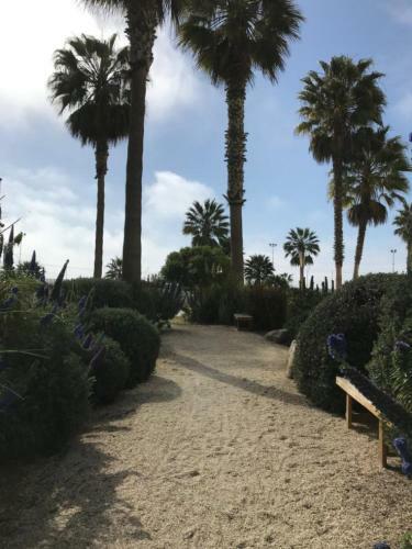 Apartamento Departamento Jardin Del Mar La Serena
