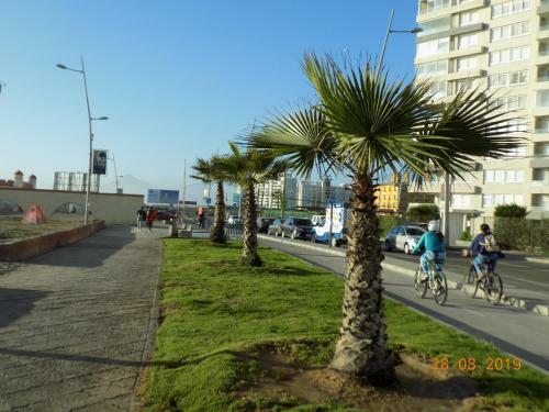 Apartamento Hermoso Departamento A Pasos de Avenida Del Mar