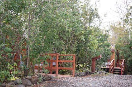 Jard�n De Domos: Pucon