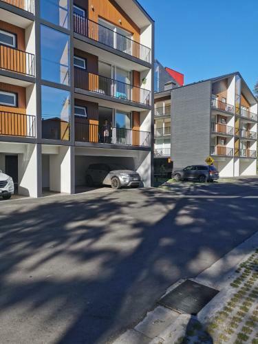 Apartamento Departamentos Amoblados Paz, Estudio En Puc�n,camino Al Volc�n!