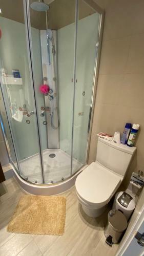 Apartamento Puc�n Central Lake