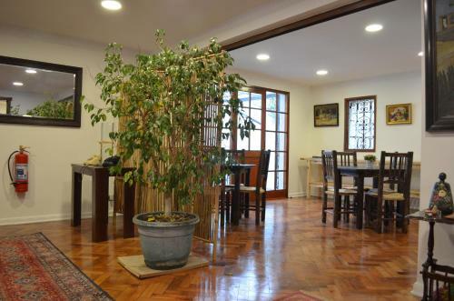Bed & Breakfast Los Araucanos