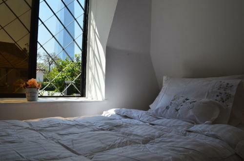 Bed & Breakfast Los Araucanos