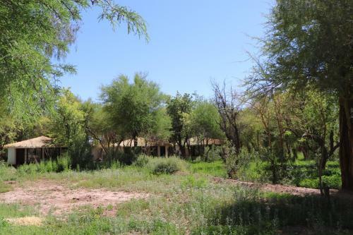 Lodge Atacama Horse