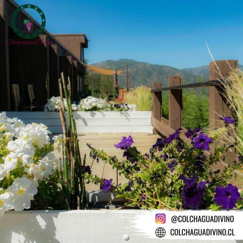 Hotel Boutique Colchagua D'vino