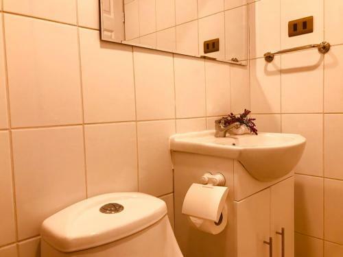 Posada Apart Hotel Don Domingo