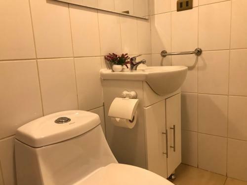 Posada Apart Hotel Don Domingo