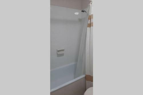 Apartamento Departamento En Valdivia
