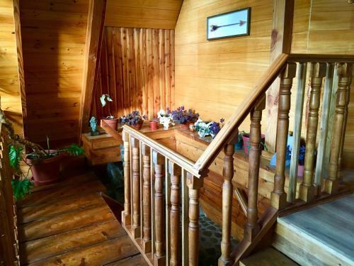 Chalet de Monta�a-espacio Y Tiempo