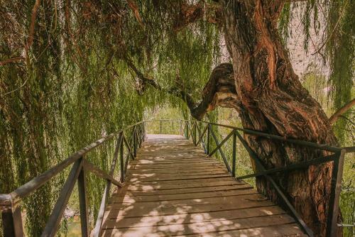 Hotel V�velo Elqui Landscape