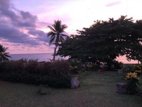 Hostal Ocean Mansion