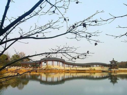 Hotel 7days Premium Changsha Yuelu Shanhu Branch