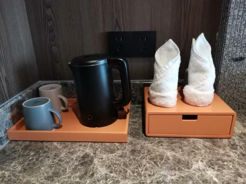 Changsha Lanting Shanshui Hotel