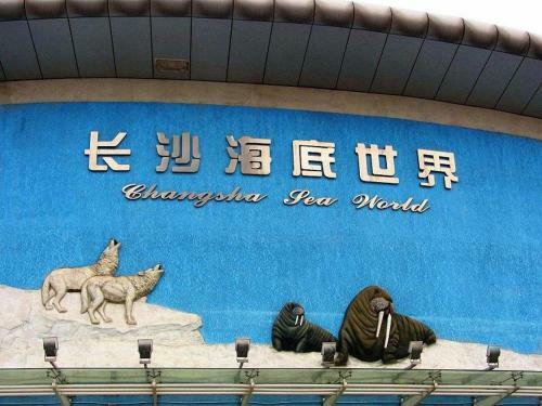 Hotel 7days Premium Changsha Sanyi Avenue Guofangkeda
